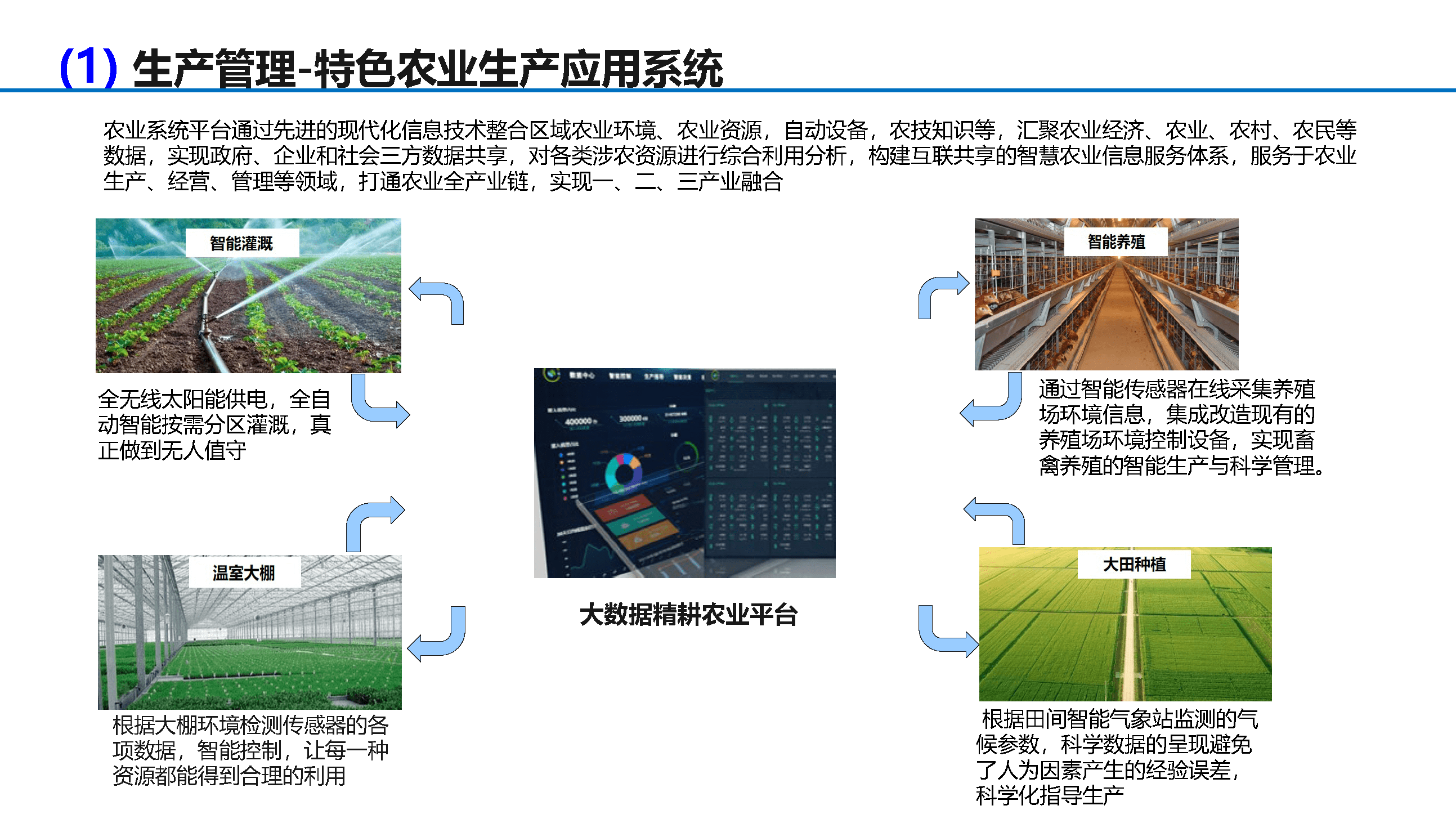 数字乡村建设解决方案