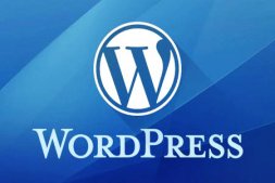 wordpress主题(wordpress自助建站)