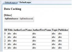 ASP.NET 数据缓存