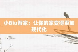 小Biu智家：让你的家变得更加现代化