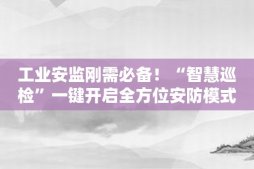 工业安监刚需必备！“智慧巡检”一键开启全方位安防模式！