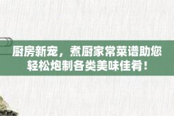 厨房新宠，煮厨家常菜谱助您轻松炮制各类美味佳肴！