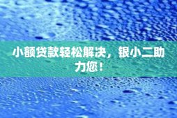 小额贷款轻松解决，银小二助力您！