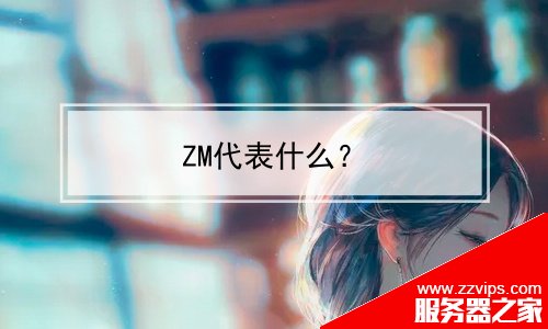 ZM代表什么？